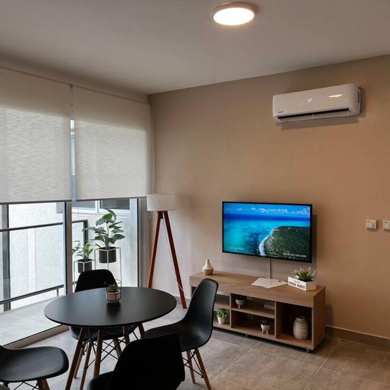 Hermoso Depto A Estrenar En Quinta Sección - Apartamento de 1 dormitorio - 1