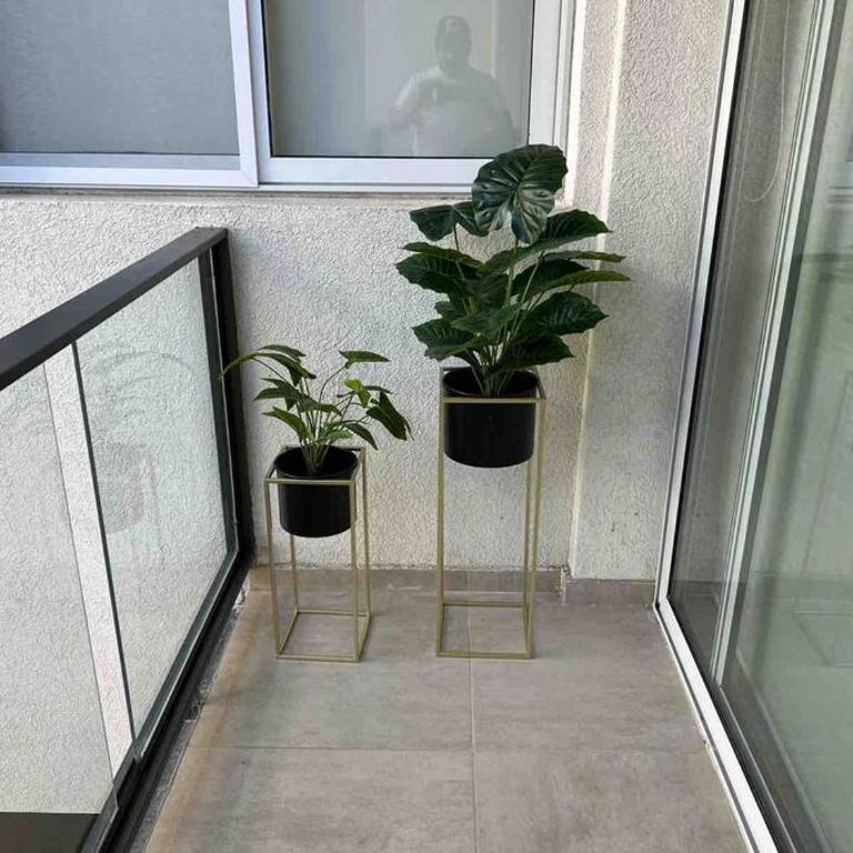 Hermoso Depto A Estrenar En Quinta Sección - Apartamento de 1 dormitorio - 13