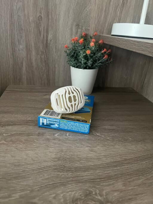 Hermoso Depto A Estrenar En Quinta Sección - Apartamento de 1 dormitorio - 19