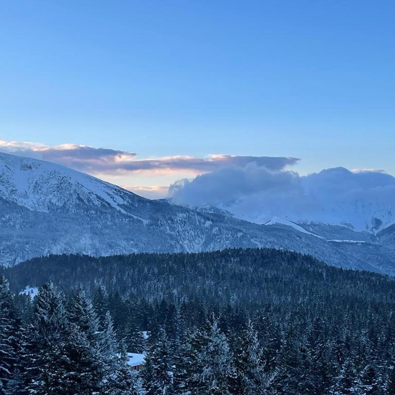 Appartement pieds des pistes, vue imprenable, Chamrousse - Apartamento de 2 dormitorios - 21