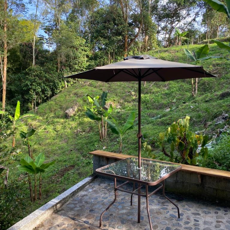 River house - Apartment with Garden View - 10