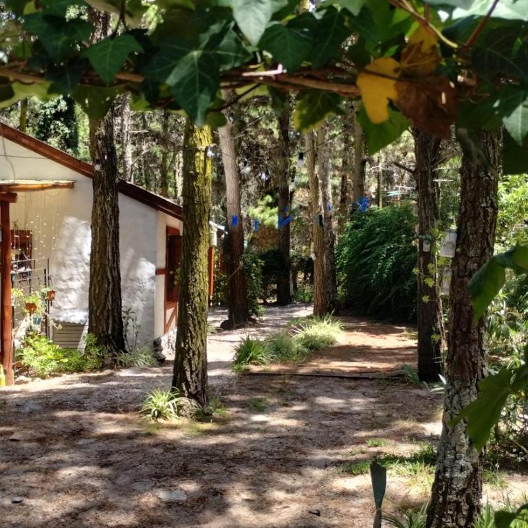 Cabaña Morena - Casa con 1 dormitorio - 31