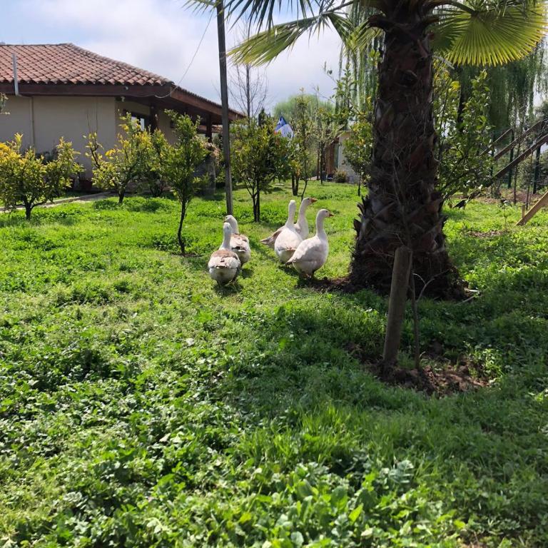 Alojamiento Los Nogales - Apartamento de 2 dormitorios - 18