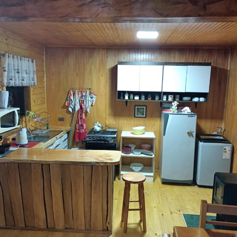 CABAÑAS RAYEN HUILLINCO - Apartamento de 2 dormitorios con terraza - 5