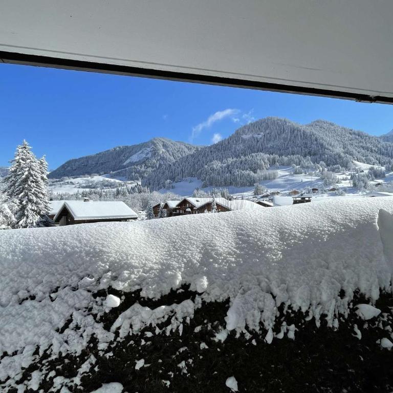 Studio Cabine à Praz-sur-Arly, 4 pers, proche pistes et village, parking et extérieur privé - Appartement 1 Chambre - 3
