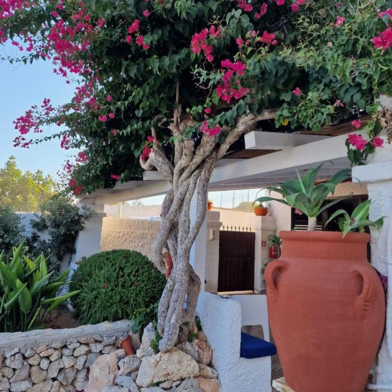 Angolo di Paradiso - Casa Vacanze - 25