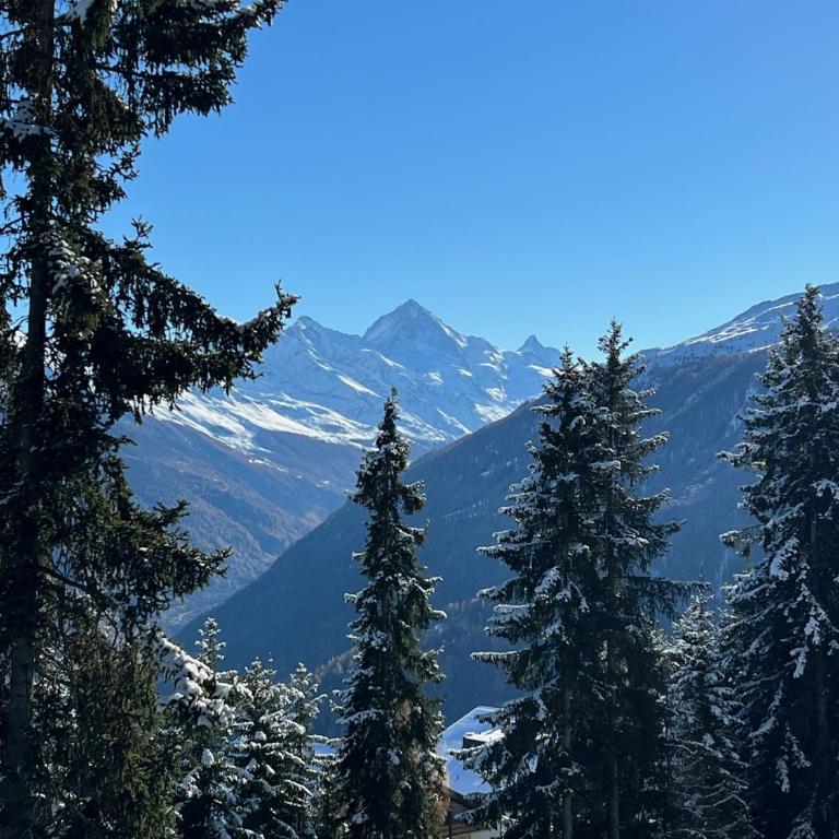 Cosy studio for 5 near ski lift, HAMEAU D2 - Studio with Mountain View - 31