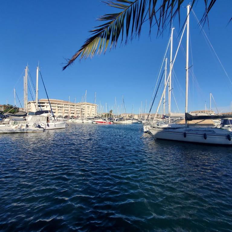 CAP HERMES Studio 31m2 Vue Port Climatise piscine, - Studio with Sea View - 17