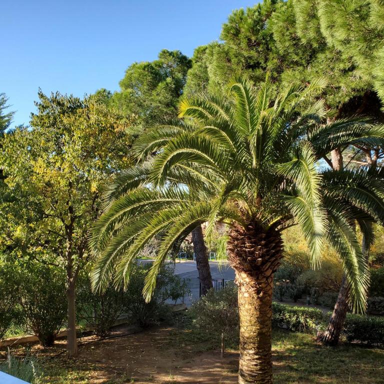 FREJUS PLAGE Miougrano T2 55m2 Climatise Piscine - Apartment with Garden View - 8