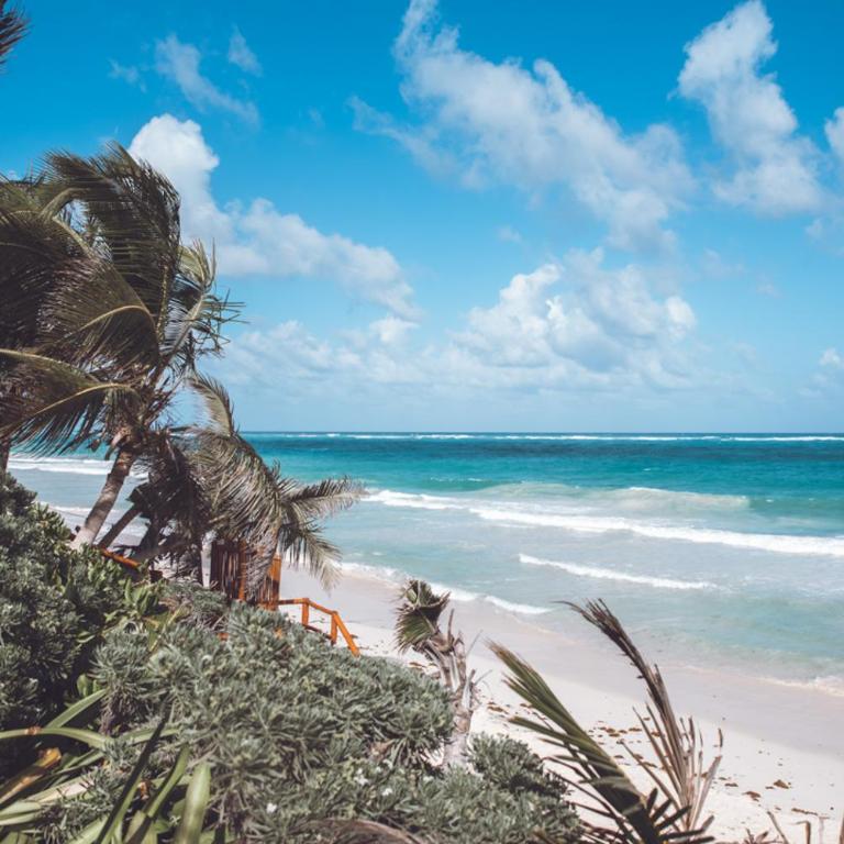 Villa Destiny Tulum beach front luxury villa - Villa - 29