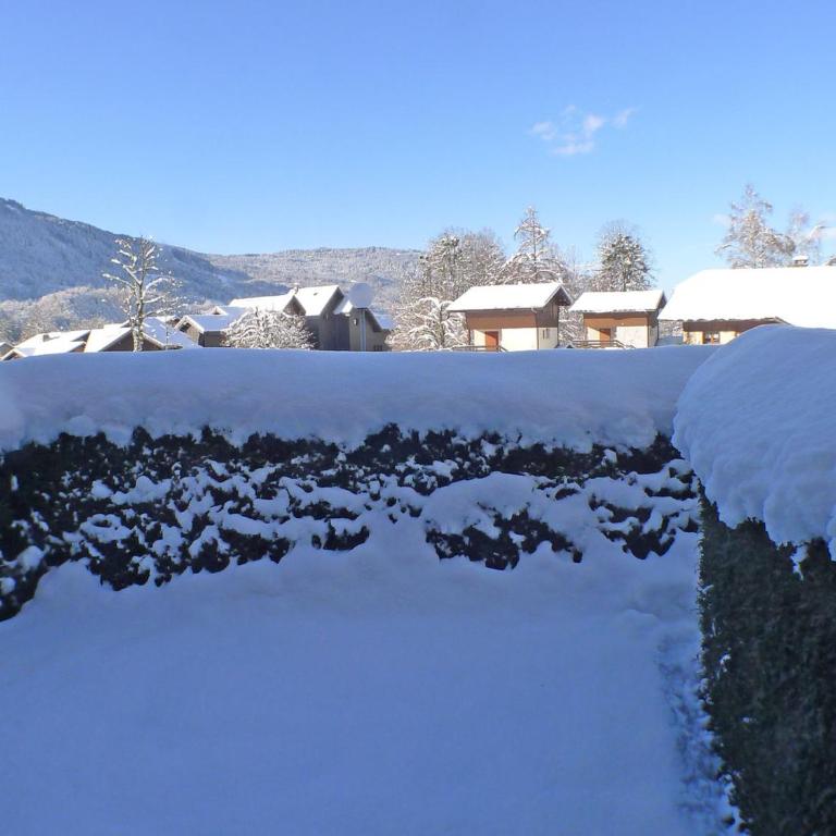 Appartement cosy à Samoëns avec terrasse et parking - FR-1-629-72 - Apartment - 8