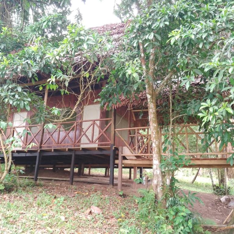 Amazon Lodge and Expeditions - Bungalow - Frente al agua - 4