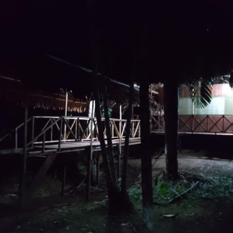 Amazon Lodge and Expeditions - Bungalow - Frente al agua - 6