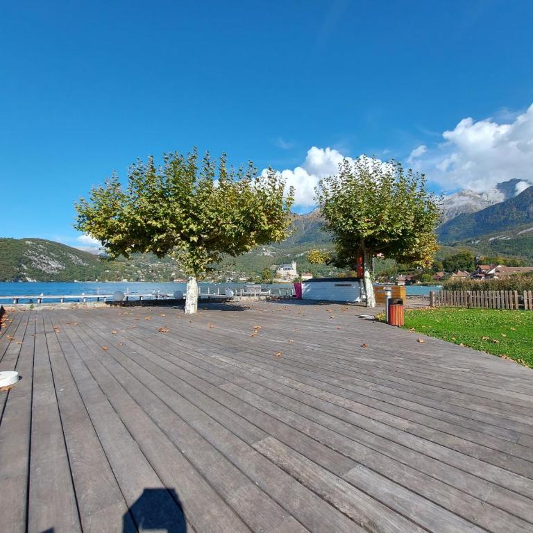 Studio Cosy avec Plage et Parking Privés au bord du Lac D'Annecy - Appartement 1 Chambre - 20