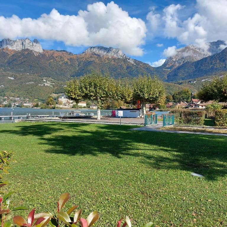 Studio Cosy avec Plage et Parking Privés au bord du Lac D'Annecy - Appartement 1 Chambre - 30