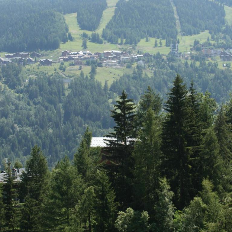Chalet Miravidi, Montchavin-La Plagne, Jacuzzi & Sauna - Appartement 4 Chambres - Mont Blanc - 24
