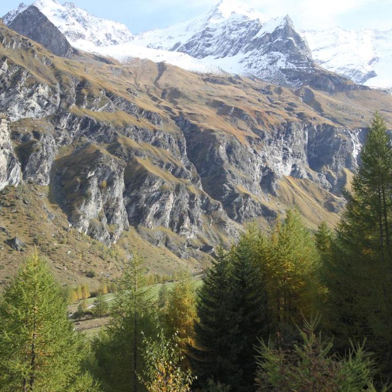 Chalet Miravidi, Montchavin-La Plagne, Jacuzzi & Sauna - Appartement 2 Chambres - Bellecote - 25
