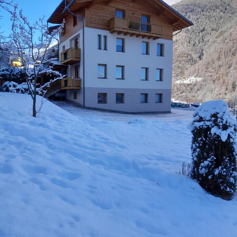 Appartamenti Penasa Renato - Apartment - Split Level - 4