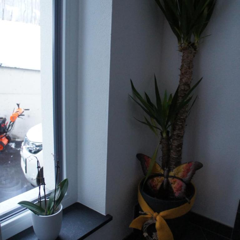 Apart Egger - Apartment mit 2 Schlafzimmern - 27
