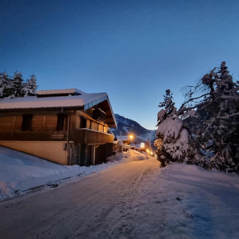 Chalet le Petit Ramoneur - Chalet - 2