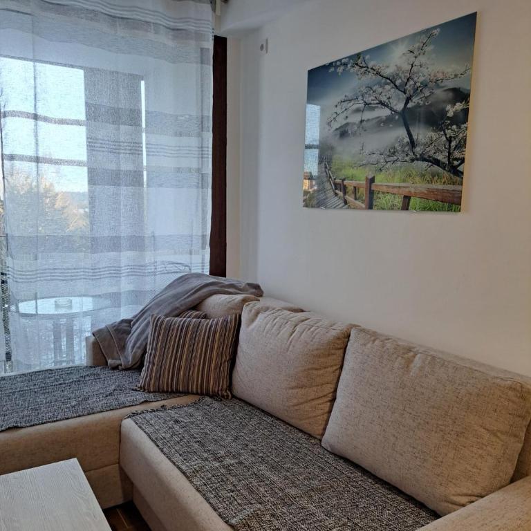 Divcibor 23 - Apartman sa 1 Spavaćom Sobom - 10
