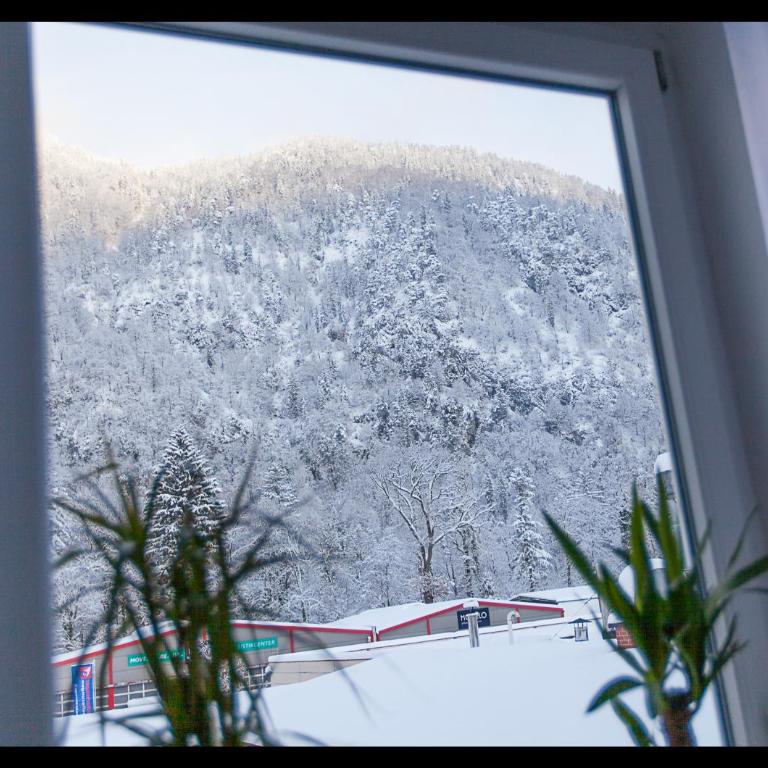 Haus Daniel - Apartment mit 1 Schlafzimmer - 15