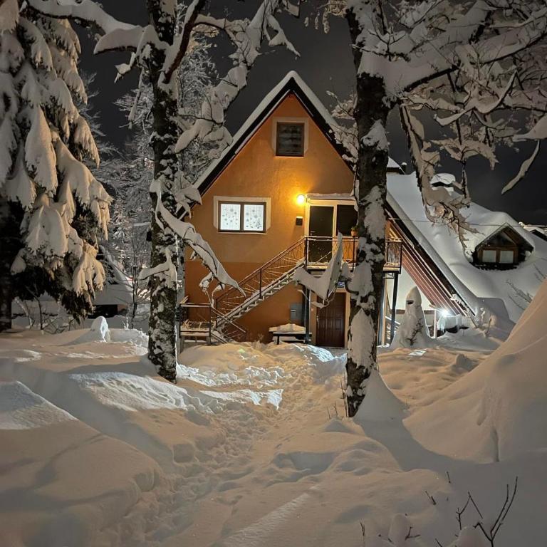 Apartment Lothlórien Jahorina - One-Bedroom Apartment - 1