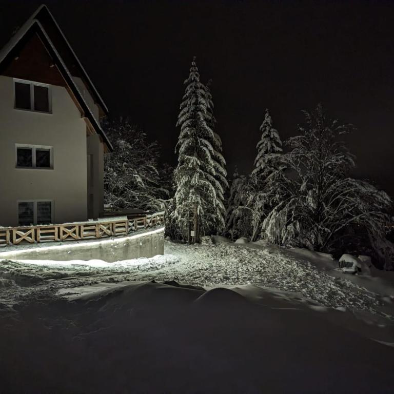 Kod Strica - Deluks Studio - 23