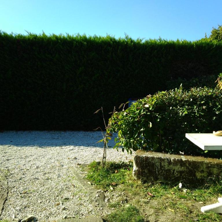 Les Cigales du Bassin - Chambre Double - Vue sur Parc - 12