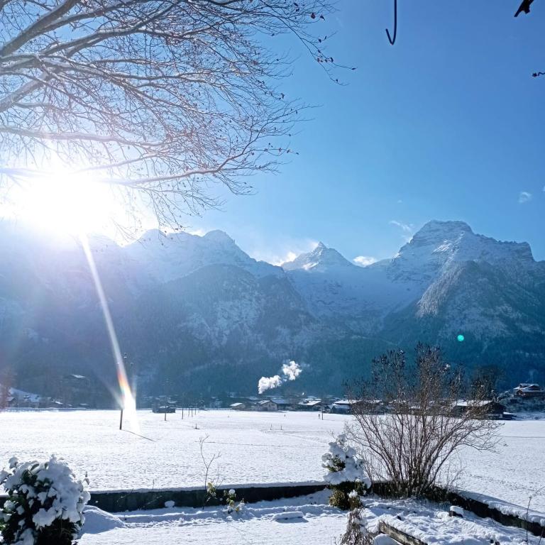 Chalet Scheffsnoth - One-Bedroom Apartment - 7