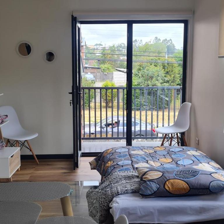 Patagonia Route Apartments - Superior Apartment - 1