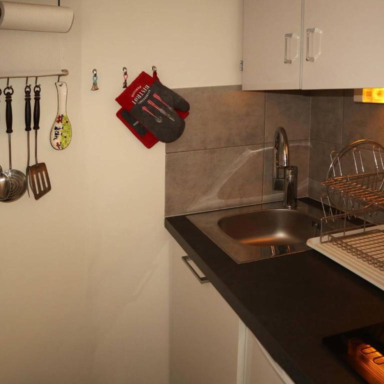 Studio cosy ski aux pieds, balcon sud, 4 pers, Wifi, box à skis - Les Orres - FR-1-322-517 - Studio - 6