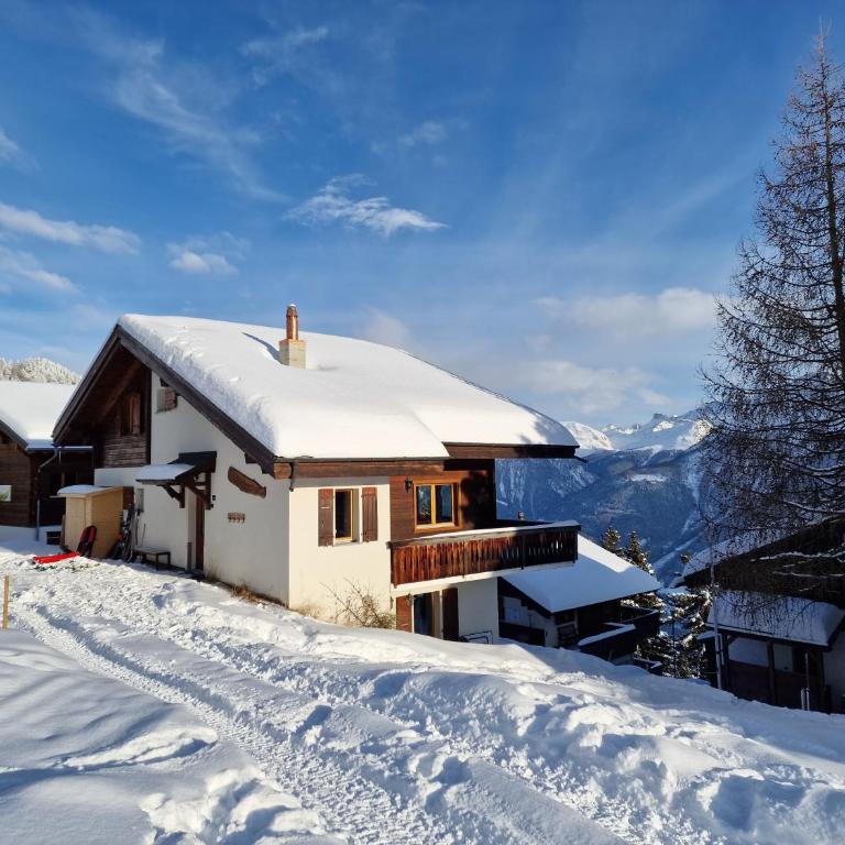 Bettmeralp Chalet Zendorn - Apartamento con vistas a las montañas - 1