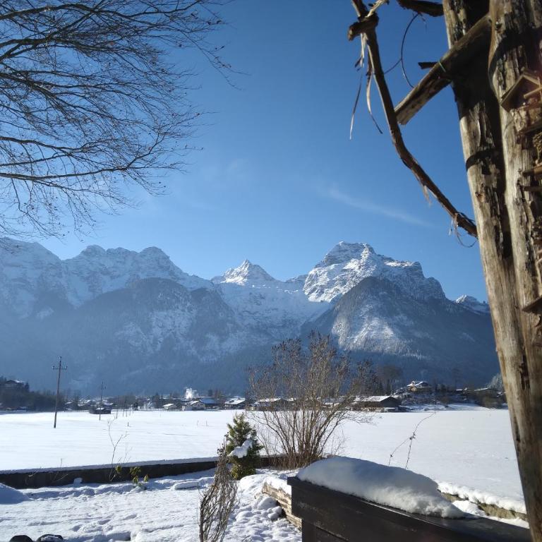 Chalet Scheffsnoth - One-Bedroom Apartment - 4