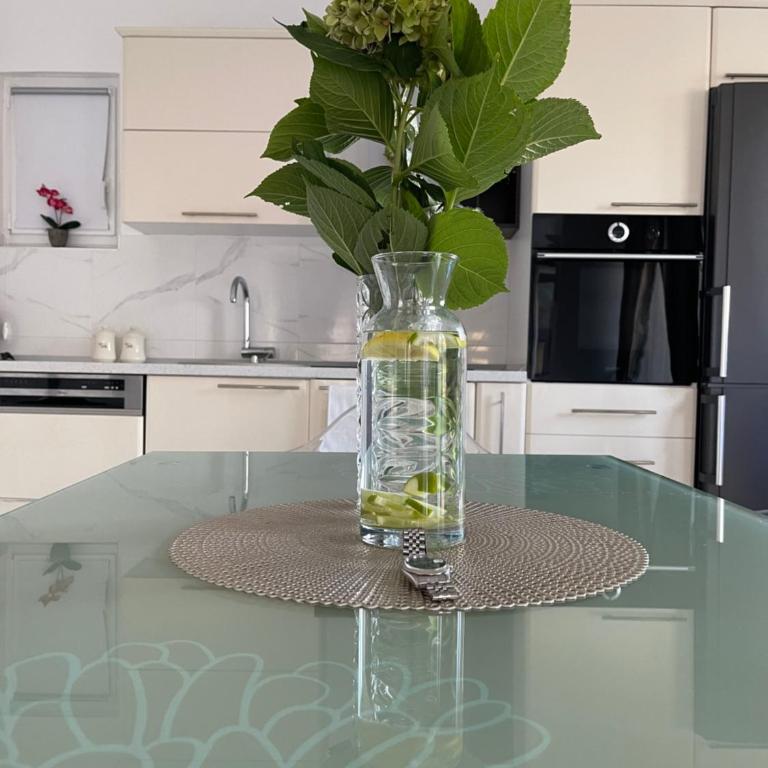 Apartmani Cirovic Luxury - Superior Apartment - 10