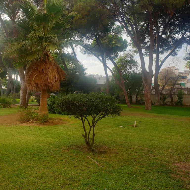 Precioso estudio con piscina a 200m del mar - One-Bedroom Apartment - 10