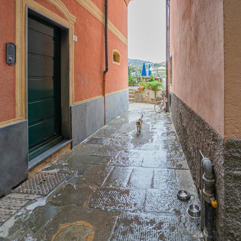 A Casa di Chiara, centro Lerici 50 metri dal mare - Appartamento con Vista Mare - 35