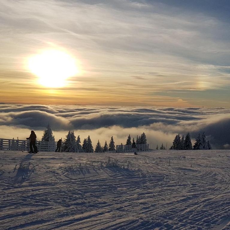 Suncana Planina - Kopaonik - Apartment - 16