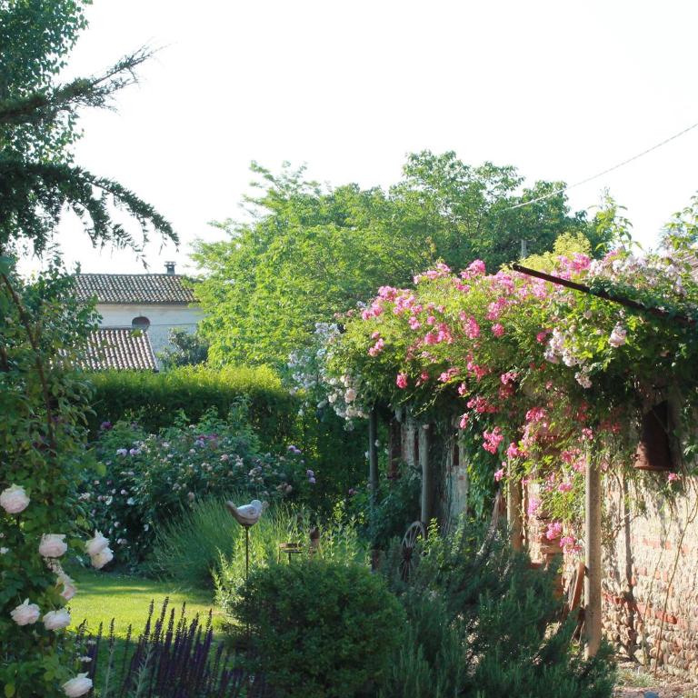 La Vigna B&B - Casa con 2 Camere da Letto - 17