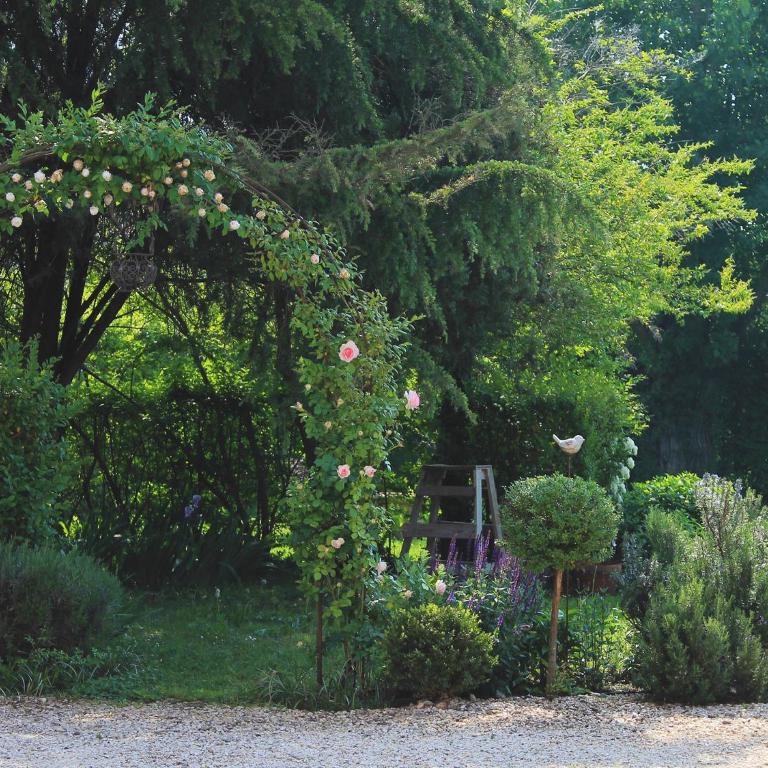 La Vigna B&B - Casa con 2 Camere da Letto - 1