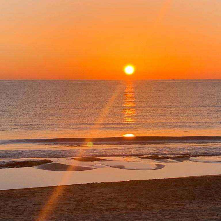 La MATA TULIP - Apartamento de 1 dormitorio - 45