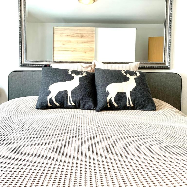 Holiday Apartment Gian - close to the Kongresshaus, the ice hockey stadium, cross-country skiing, the Eau-la-la indoor pool and wellness, large supermarket, 2 bus stops, with an indoor garage and fully equipped - Apartment mit 1 Schlafzimmer - 1