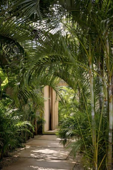 Casa Areca, Awarded Architectural Villa located in a secured gated community, with Concierge services - Villa - 51