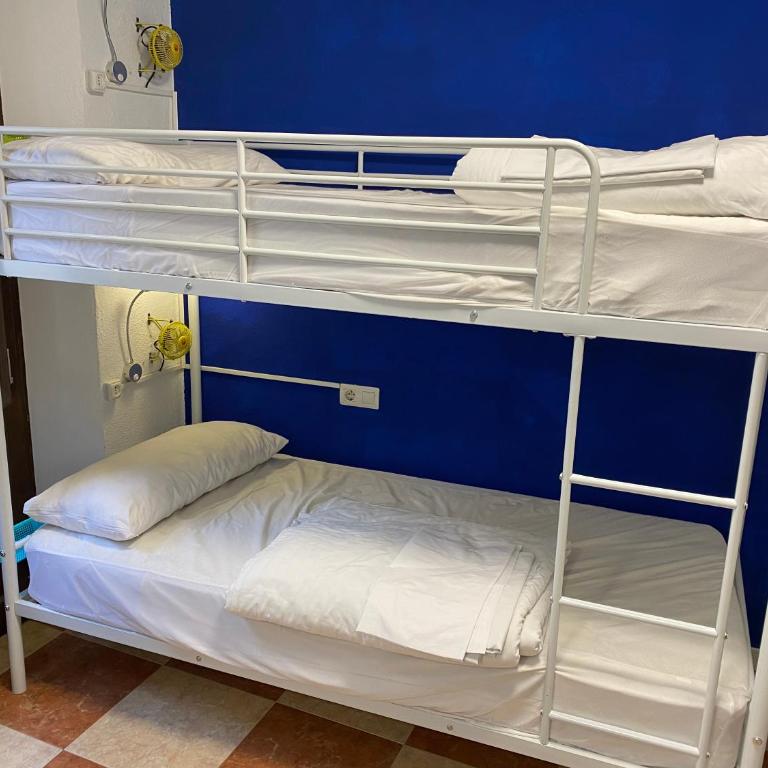 Oh! My Hostel - Bed in 4-Bed Mixed Dormitory Room with Private Bathroom - 14