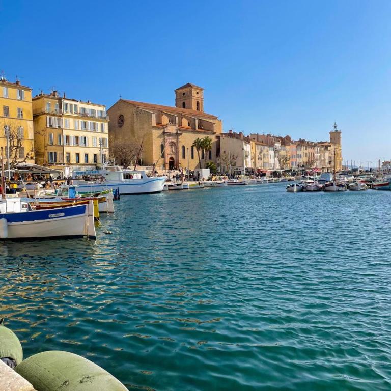 Villa ESPERANCE- appartement entier T2 - Appartamento con 2 Camere da Letto - 33