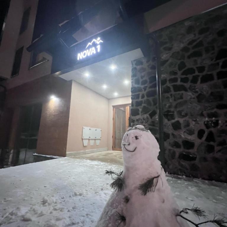 Divcinova Planinski A9 - Apartman sa 1 Spavaćom Sobom - 13