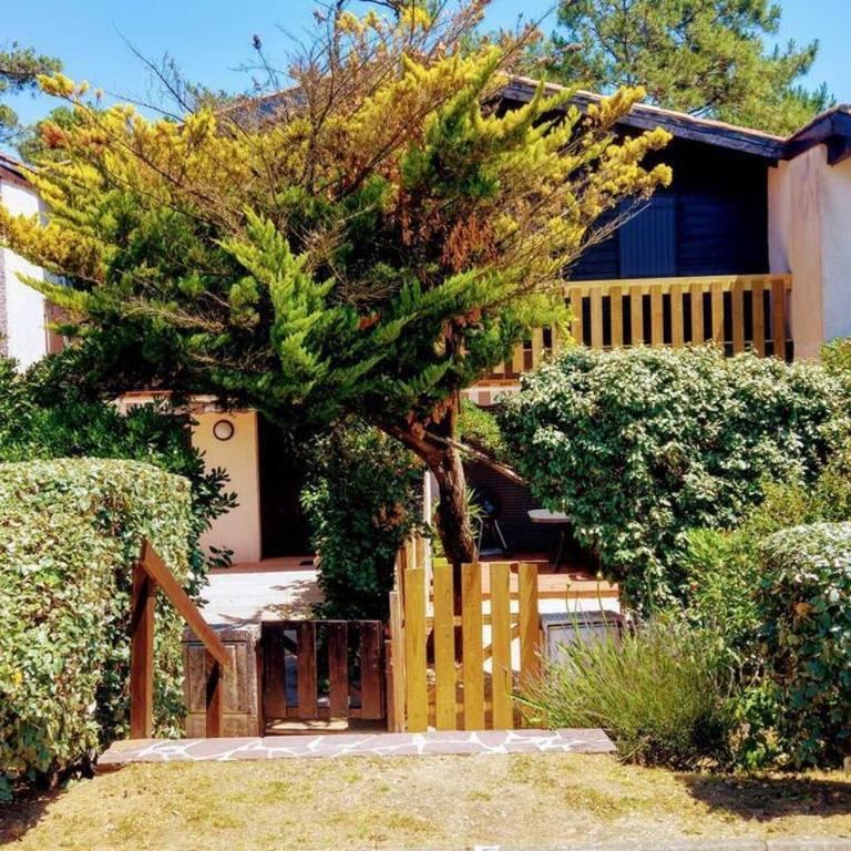 Le Petit Eden des Dunes - Haus mit 2 Schlafzimmern - 4