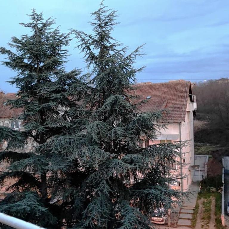 Blackwood Hill - Apartman - 39