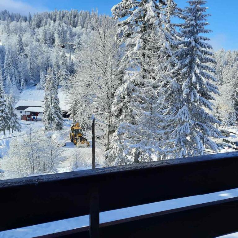 Apartman Gondola Jahorina - Apartman sa Terasom - 12