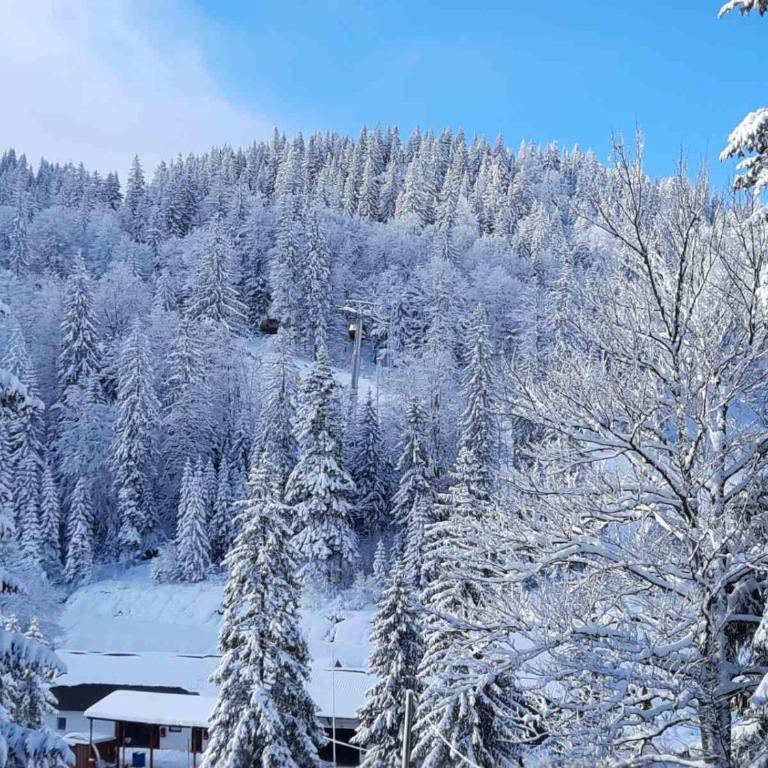 Apartman Gondola Jahorina - Apartman sa Terasom - 19